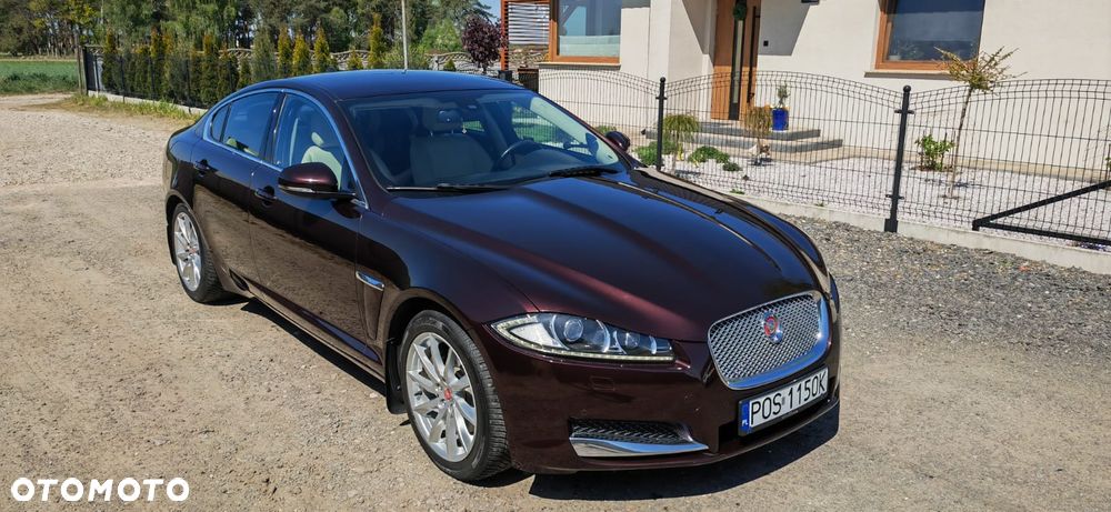 Jaguar XF 2.2 D Premium Luxury - 11