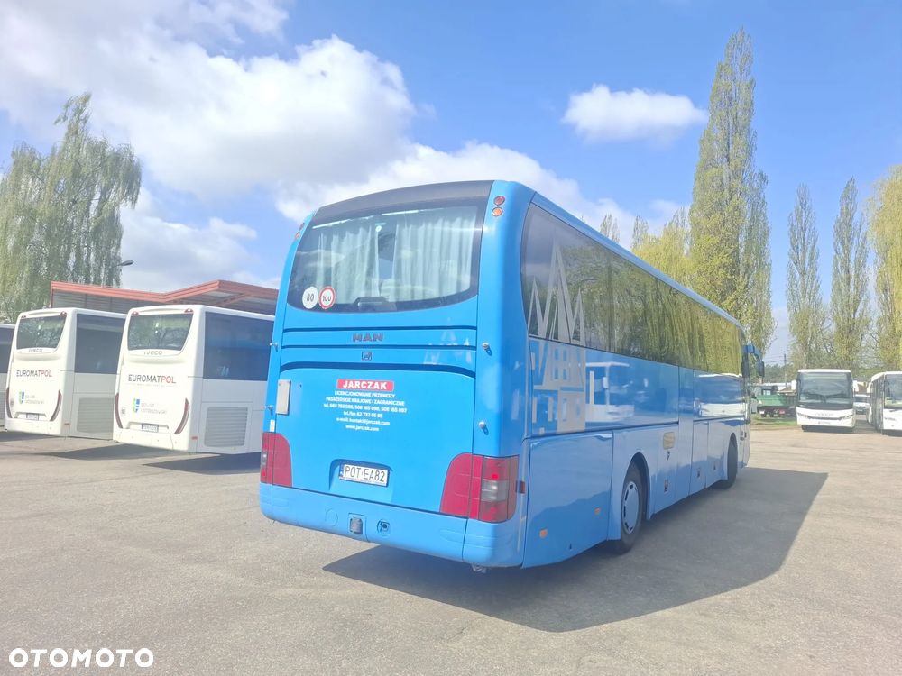 MAN LION'S COACH - 8