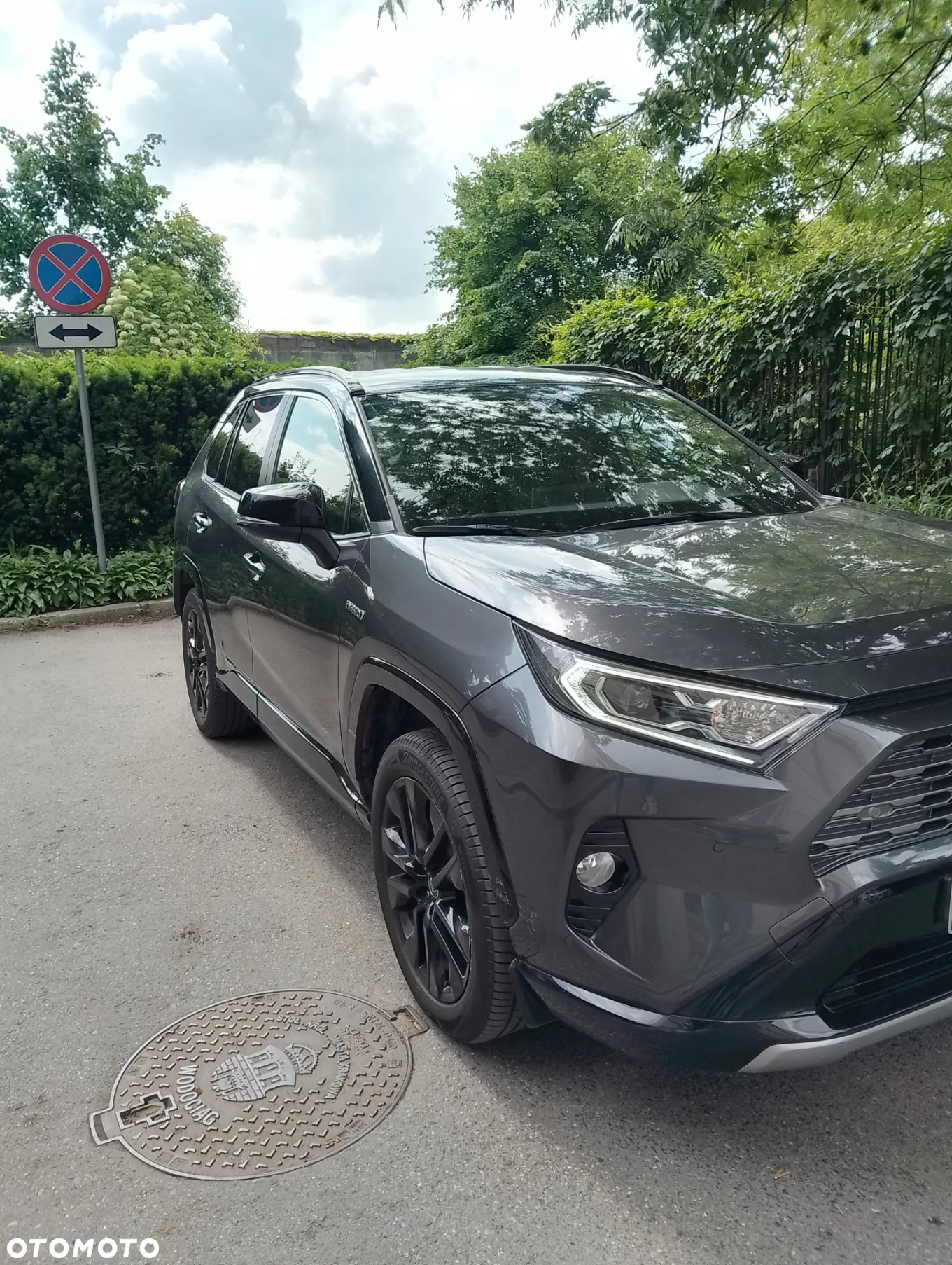 Toyota RAV4 2.5 4x2 Hybrid Style Selection - 7