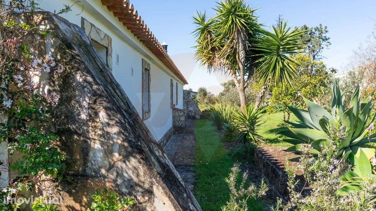 Quinta para amantes de cavalos - Grande imagem: 5/41