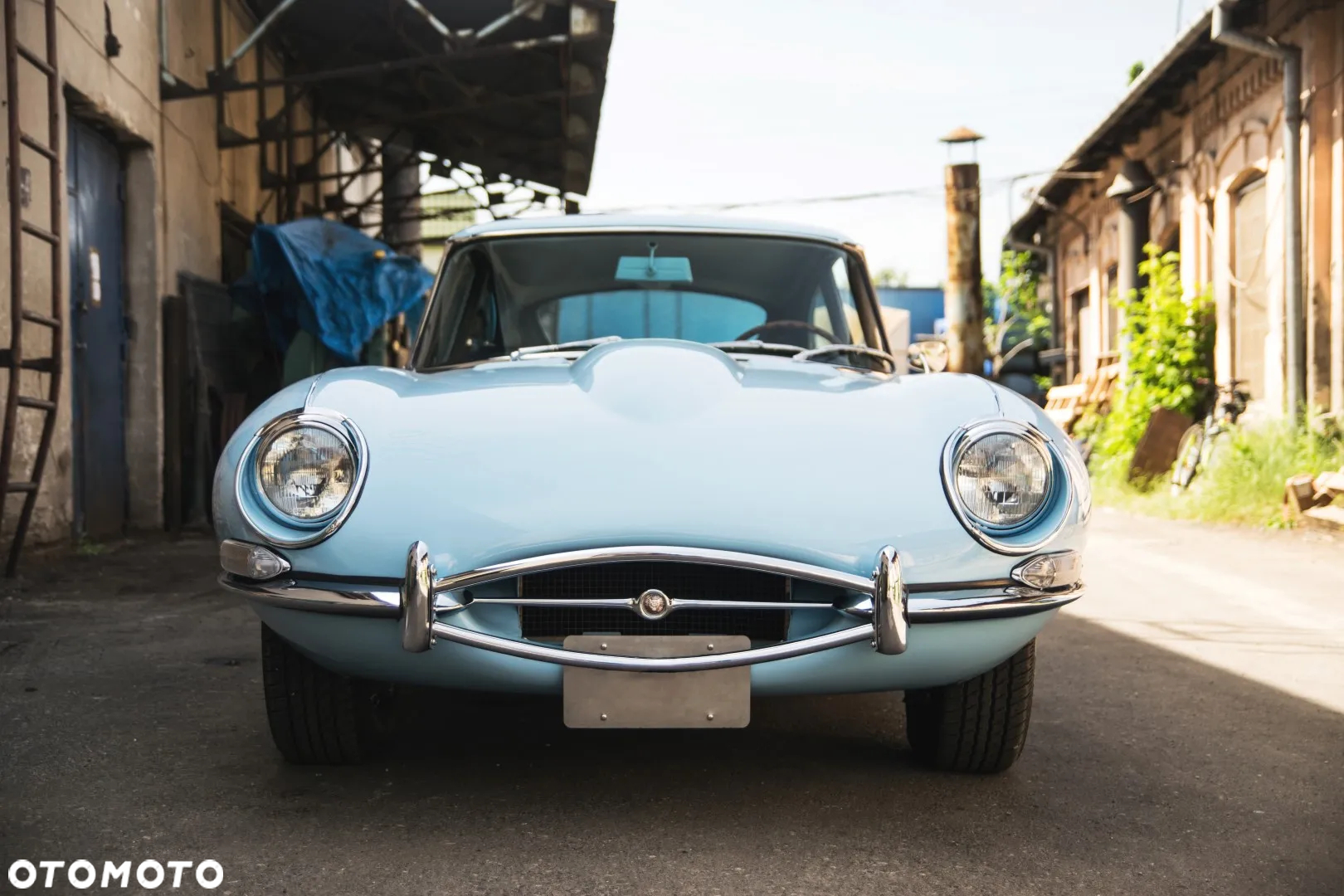 Jaguar E-Type - 10