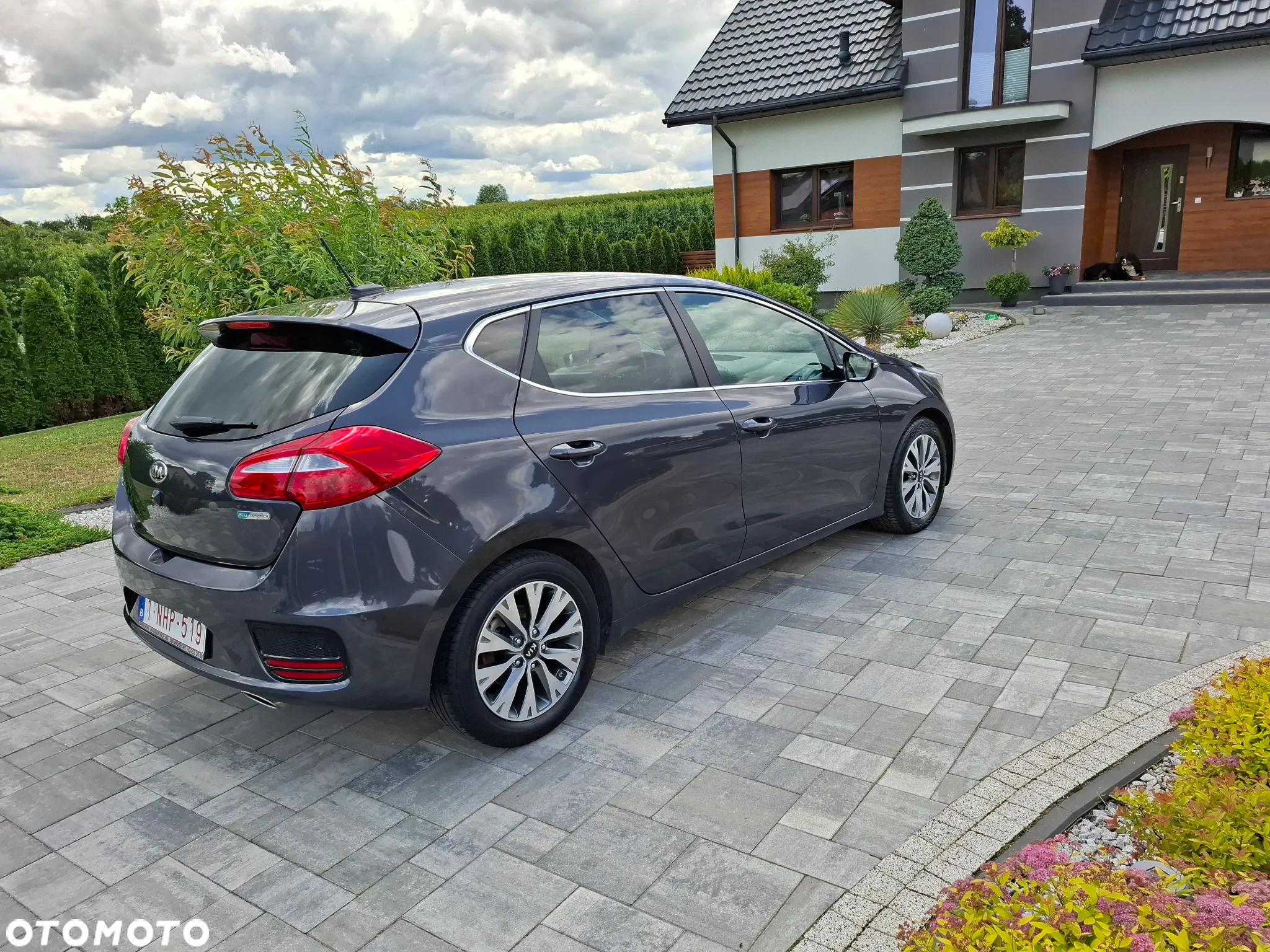 Kia Ceed 1.0 T-GDI 120 OPF Edition 7 - 14