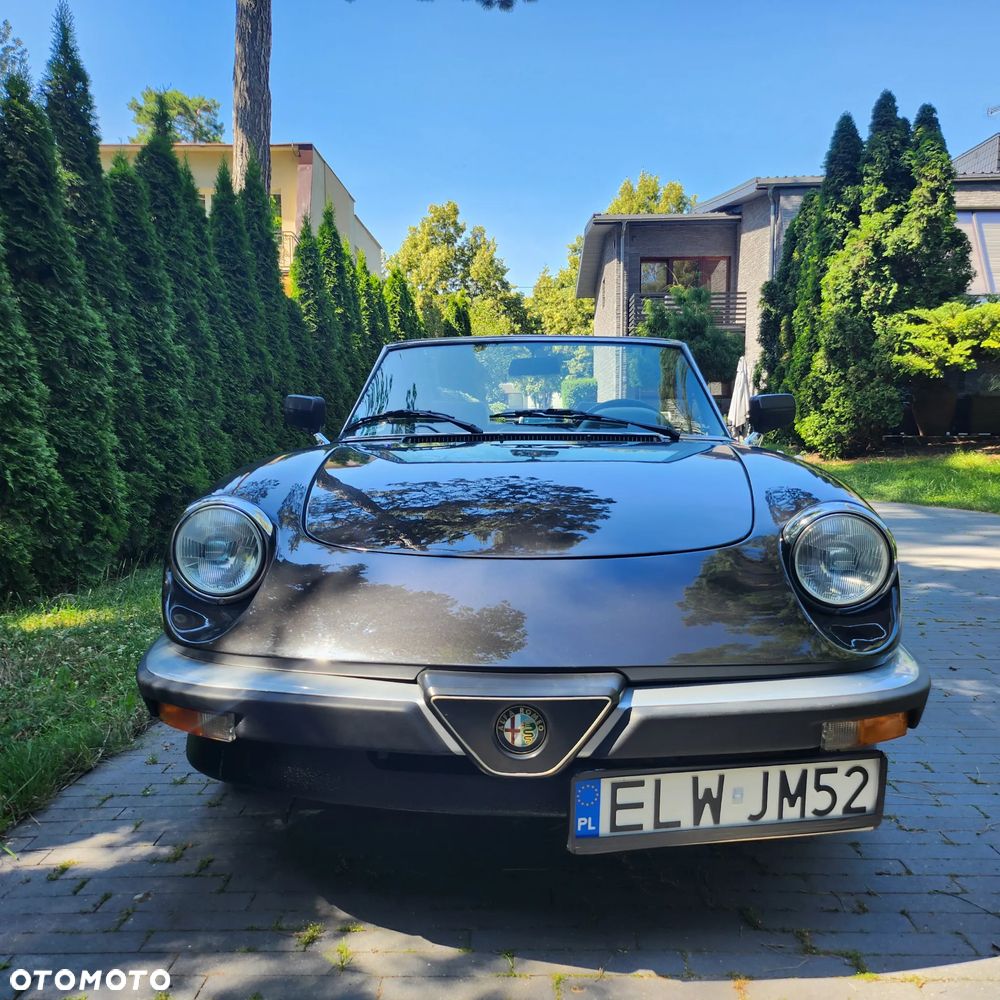 Alfa Romeo Spider - 26