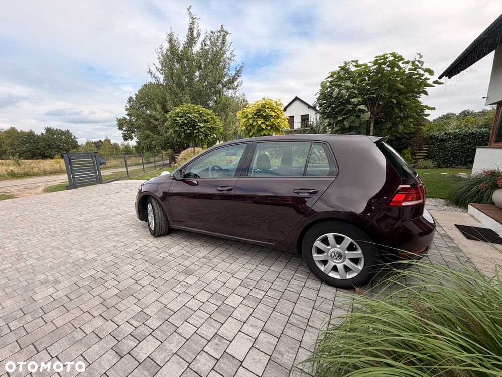 Volkswagen Golf - 1