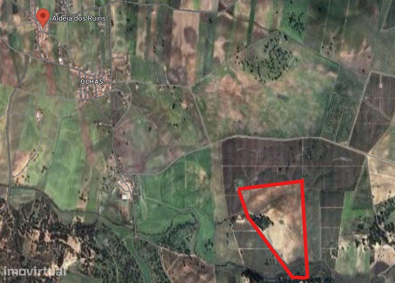 31 HECTARES DE TERRENO AGRÍCOLA, PAINEIS SOLARES ou TURISMO RURAL - Grande imagem: 5/5