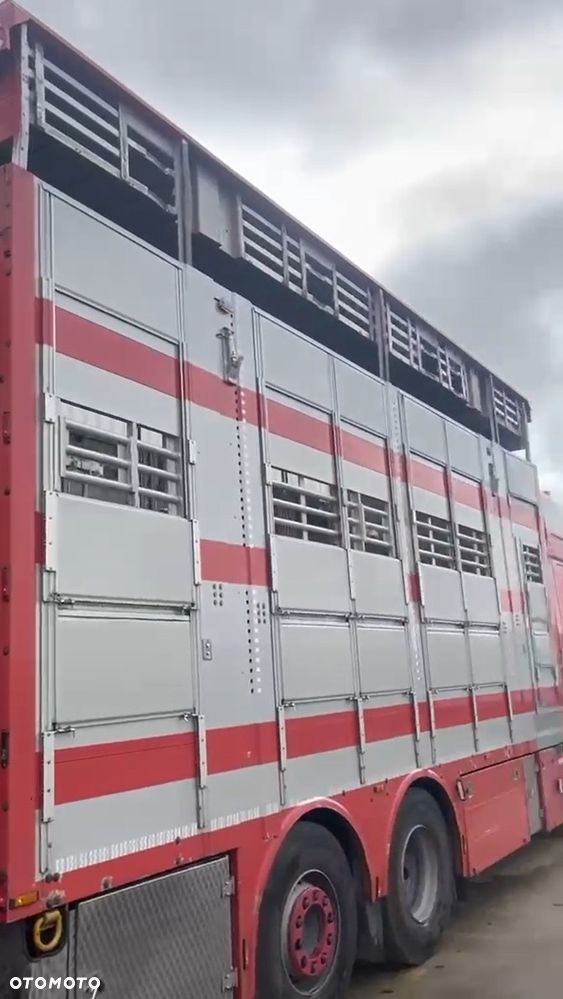 DAF XF 530 6x2 + PEZZAIOLI | Transport zwierząt | 3 poziomy | Podnoszony dach | 2020 - 4