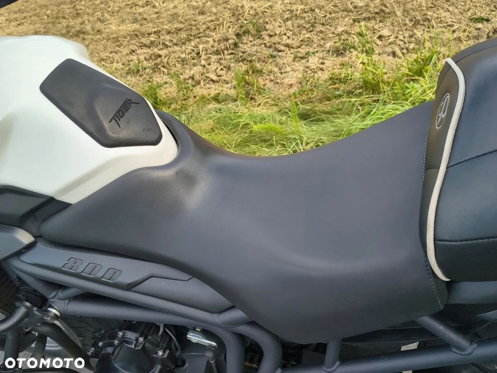 Triumph Tiger - 15