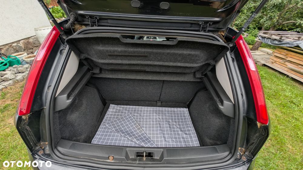 Fiat Punto 1.3 Multijet - 13