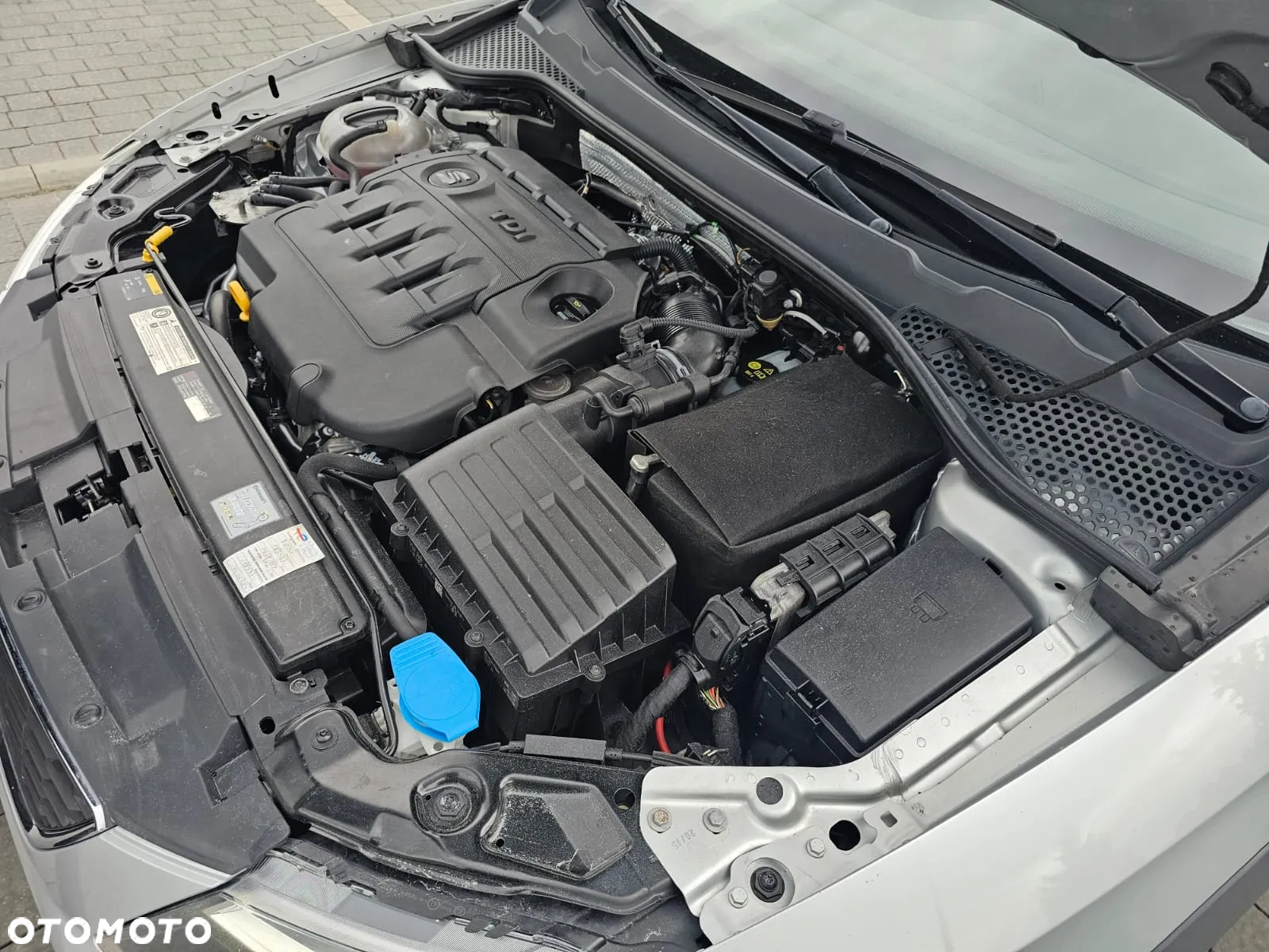 Seat Leon 2.0 TDI X-Perience S&S 4Drive DSG - 23