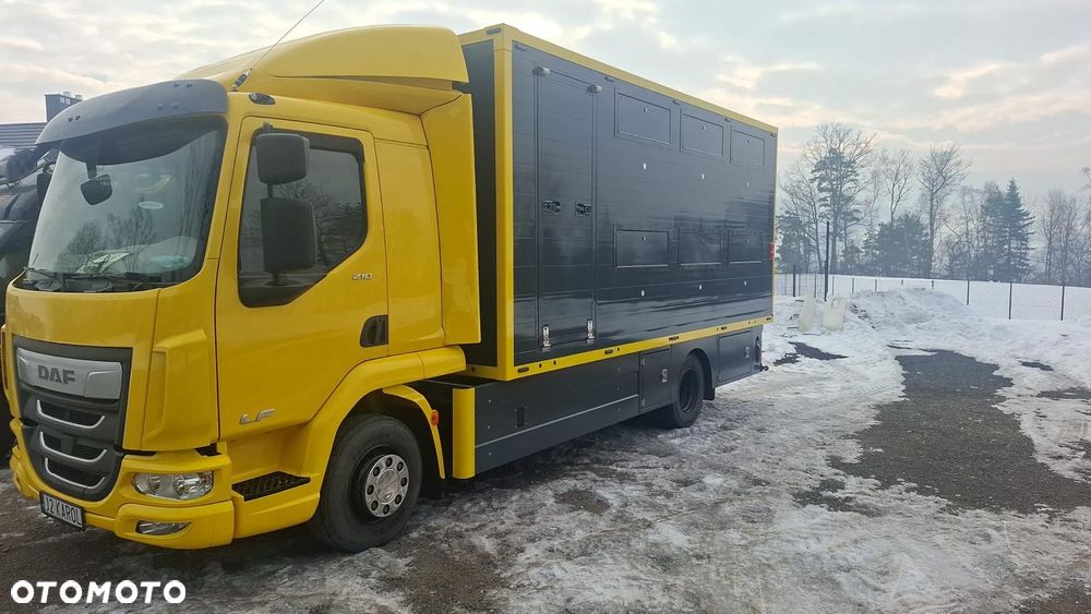 DAF Iv210fa - 2