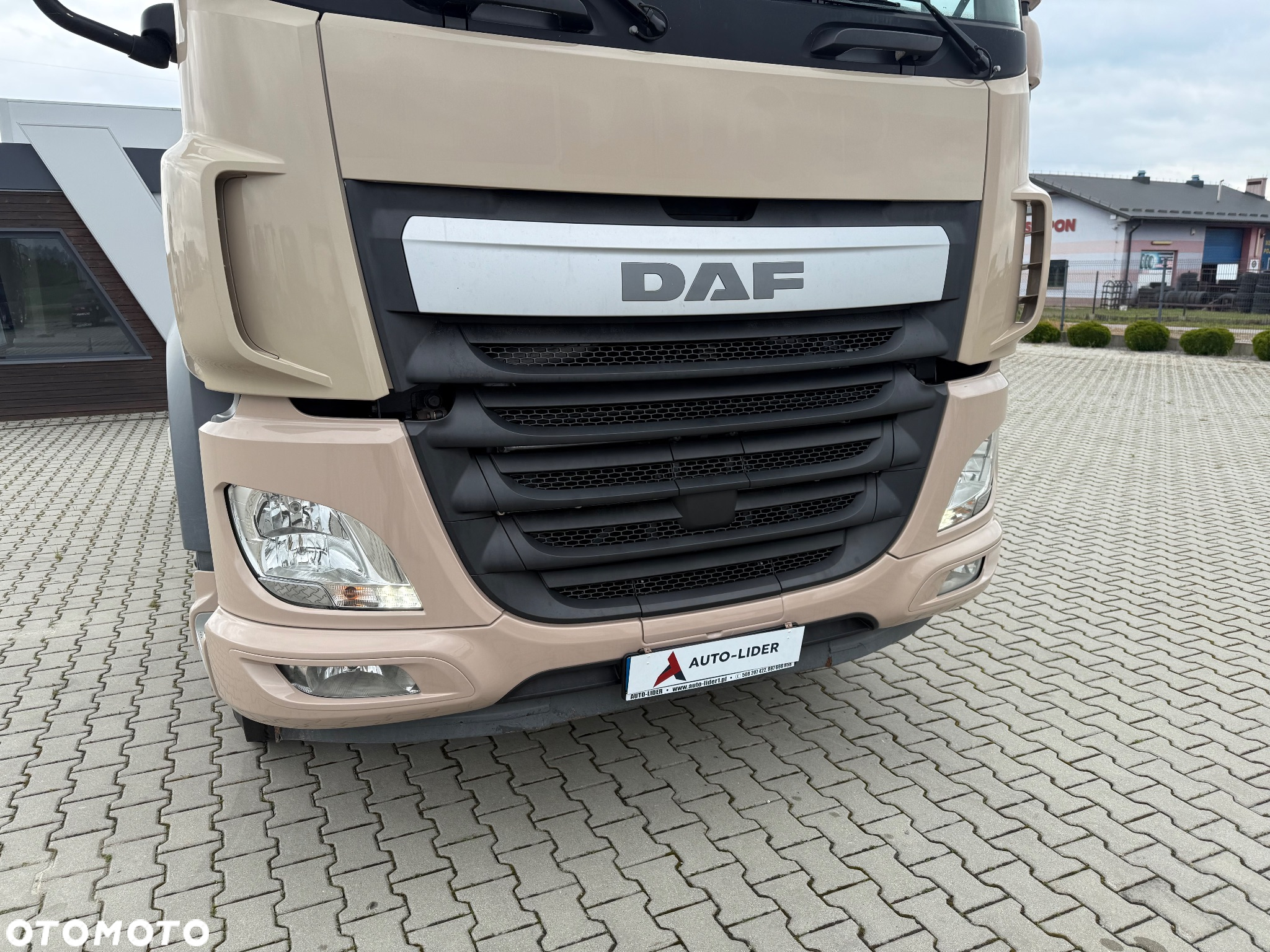 DAF CF  CF 460 / NISKA KABINA / RETARDER / HYDRAULIKA / NISKI PRZEBIEG / Z FRANCJI / STAN BDB / / / - 22
