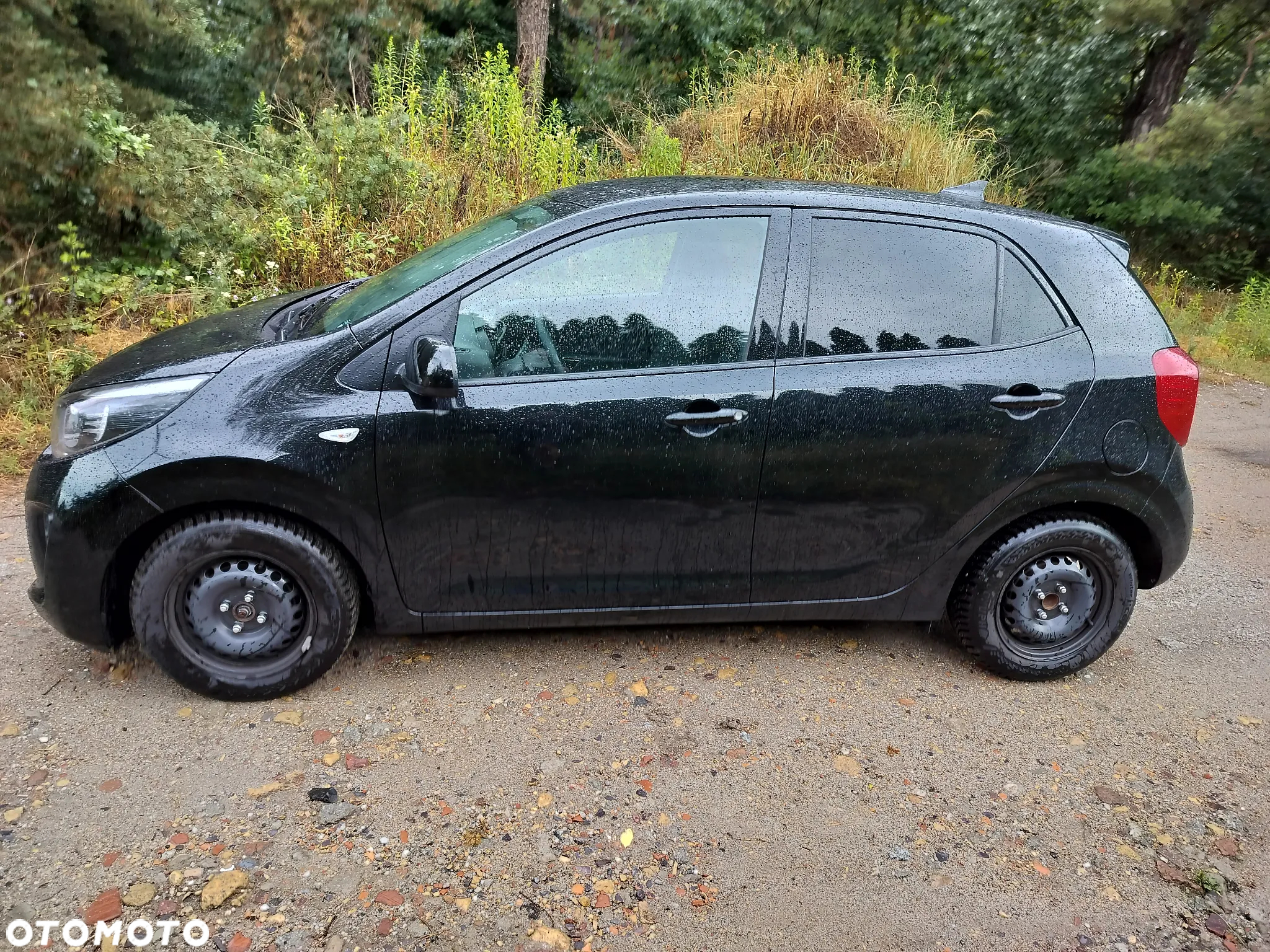 Kia Picanto 1.0 Dream-Team Edition - 2