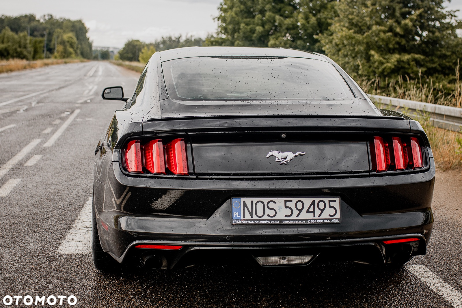 Ford Mustang 2.3 EcoBoost - 5