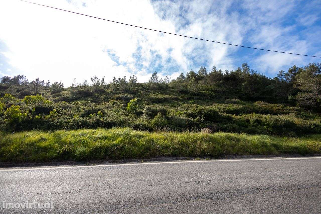 Malveira da Serra - Grande imagem: 3/4