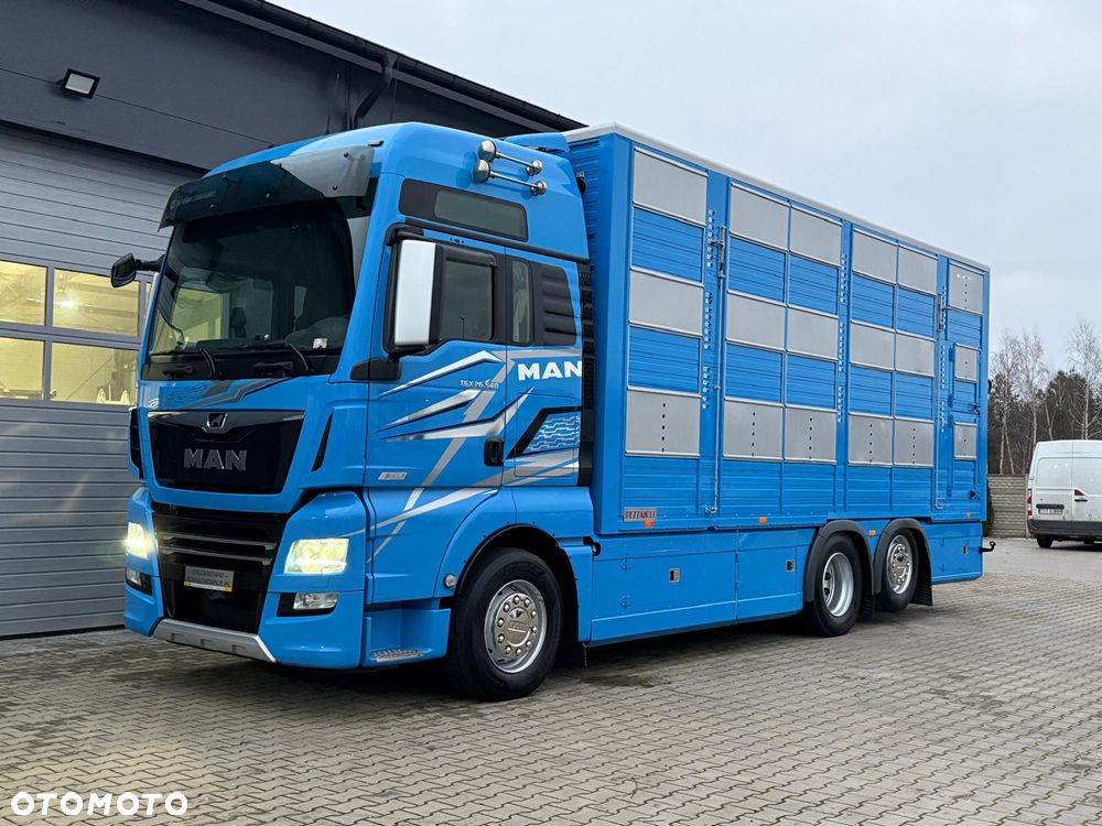 MAN TGX 26.540 // E6 // Zabudowa PEZZAIOLI // 3 poziomy hydraulika, podnoszony dach, rampa hydrauliczna // do żywca, do bydła, do transportu zwierząt - 6