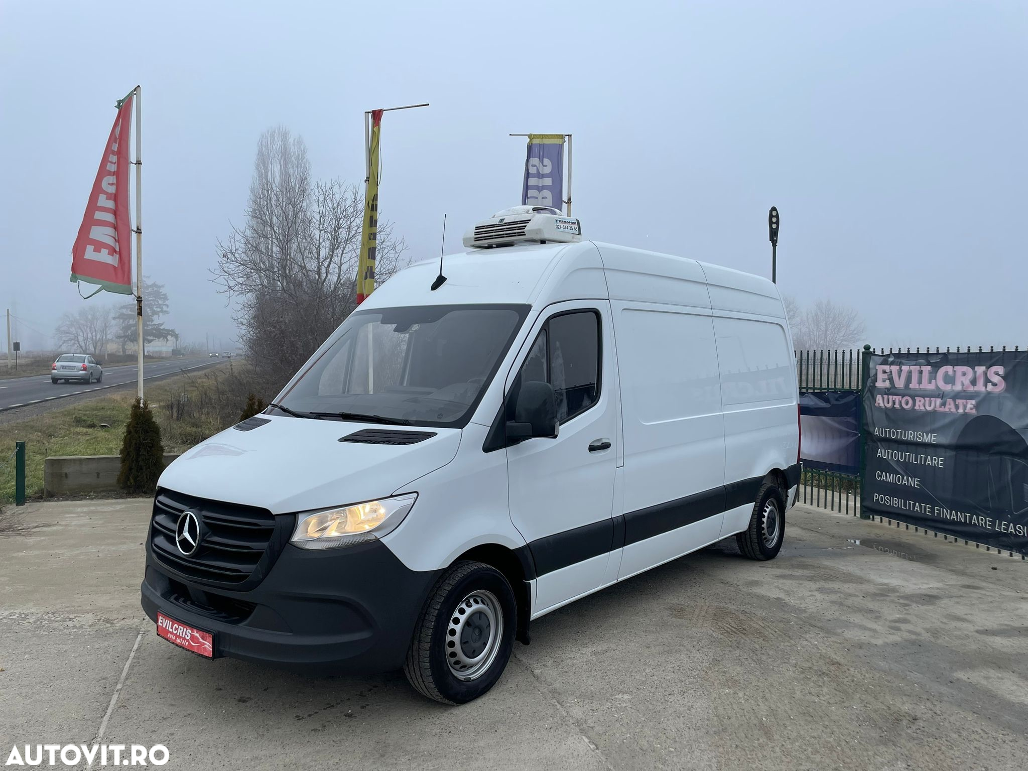 Mercedes-Benz Sprinter FRIGORIFIC THERMO KING - 30