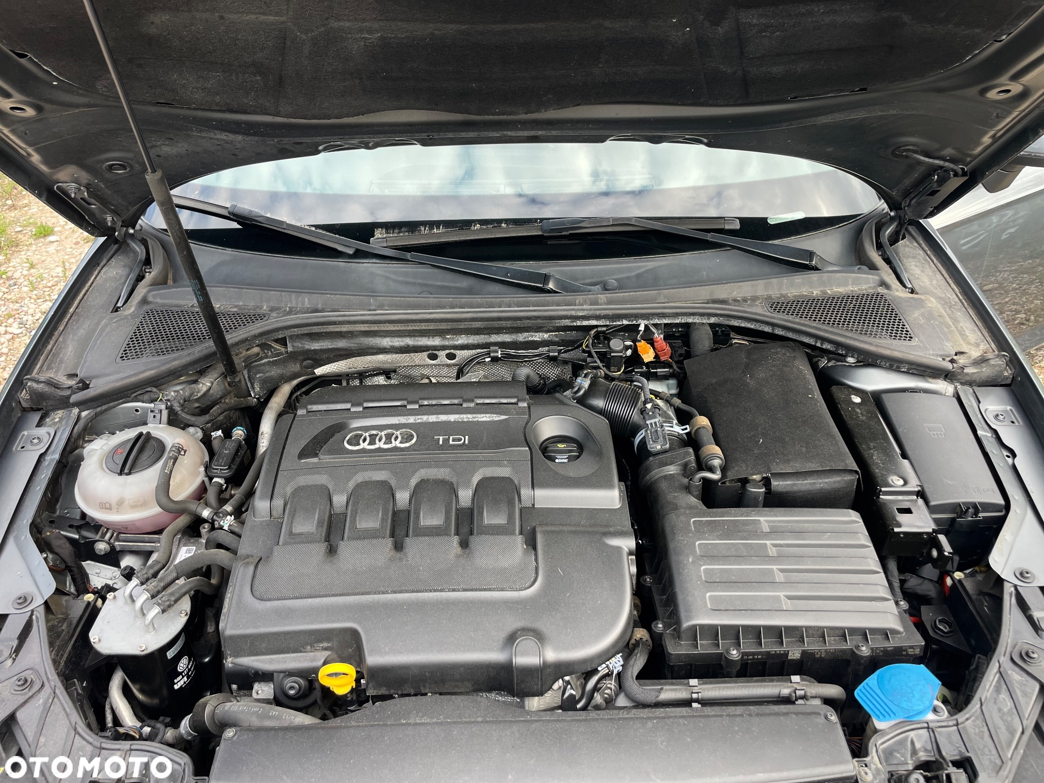 Audi A3 1.6 TDI Sport - 37