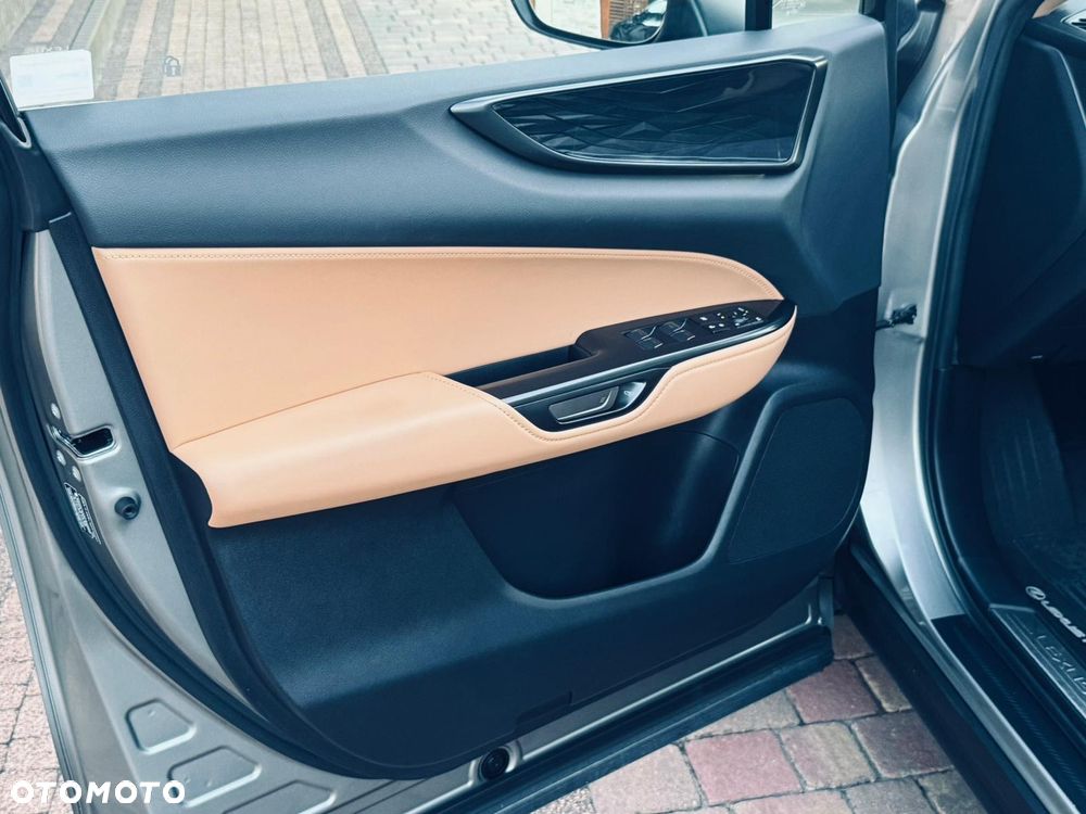 Lexus NX - 18