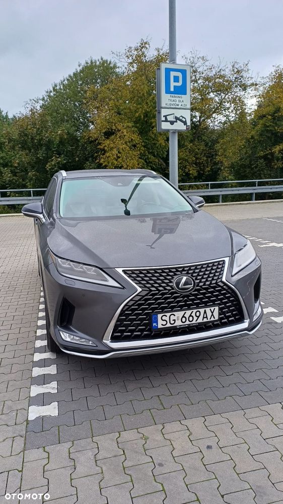 Lexus RX 300 Business Edition + - 14