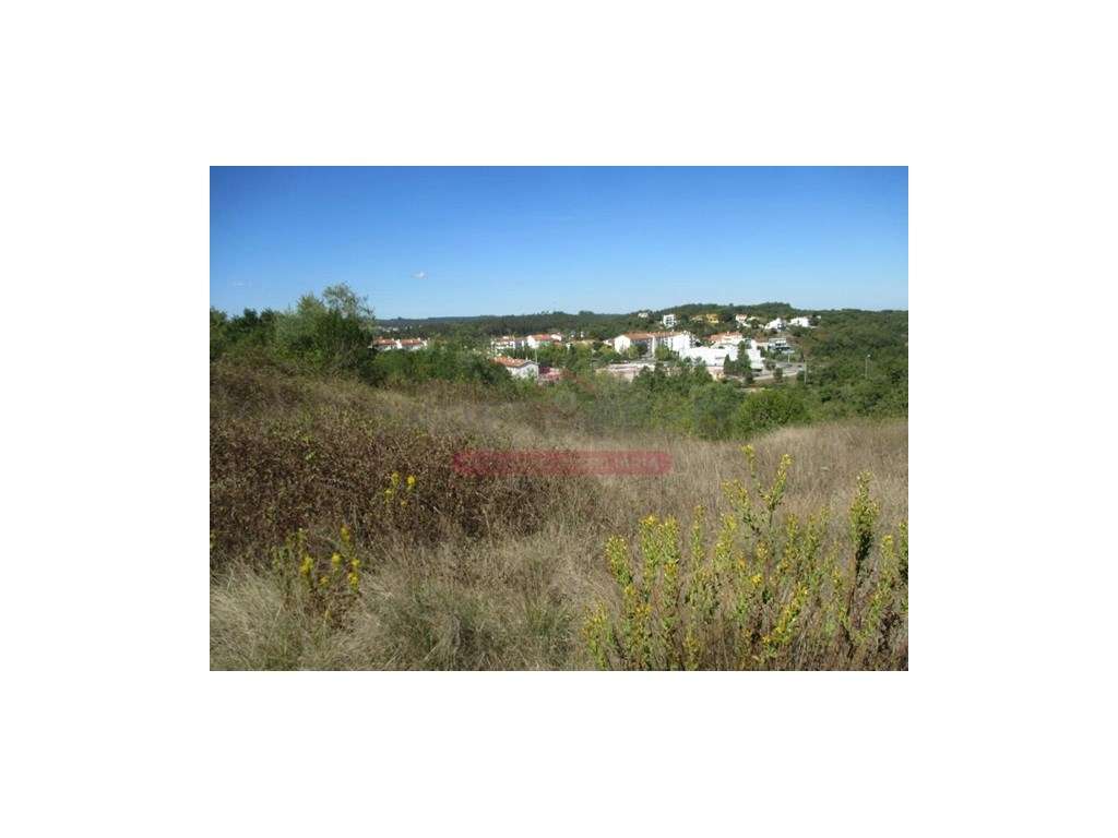 Lote Terreno Rustico - Soure - Grande imagem: 2/6