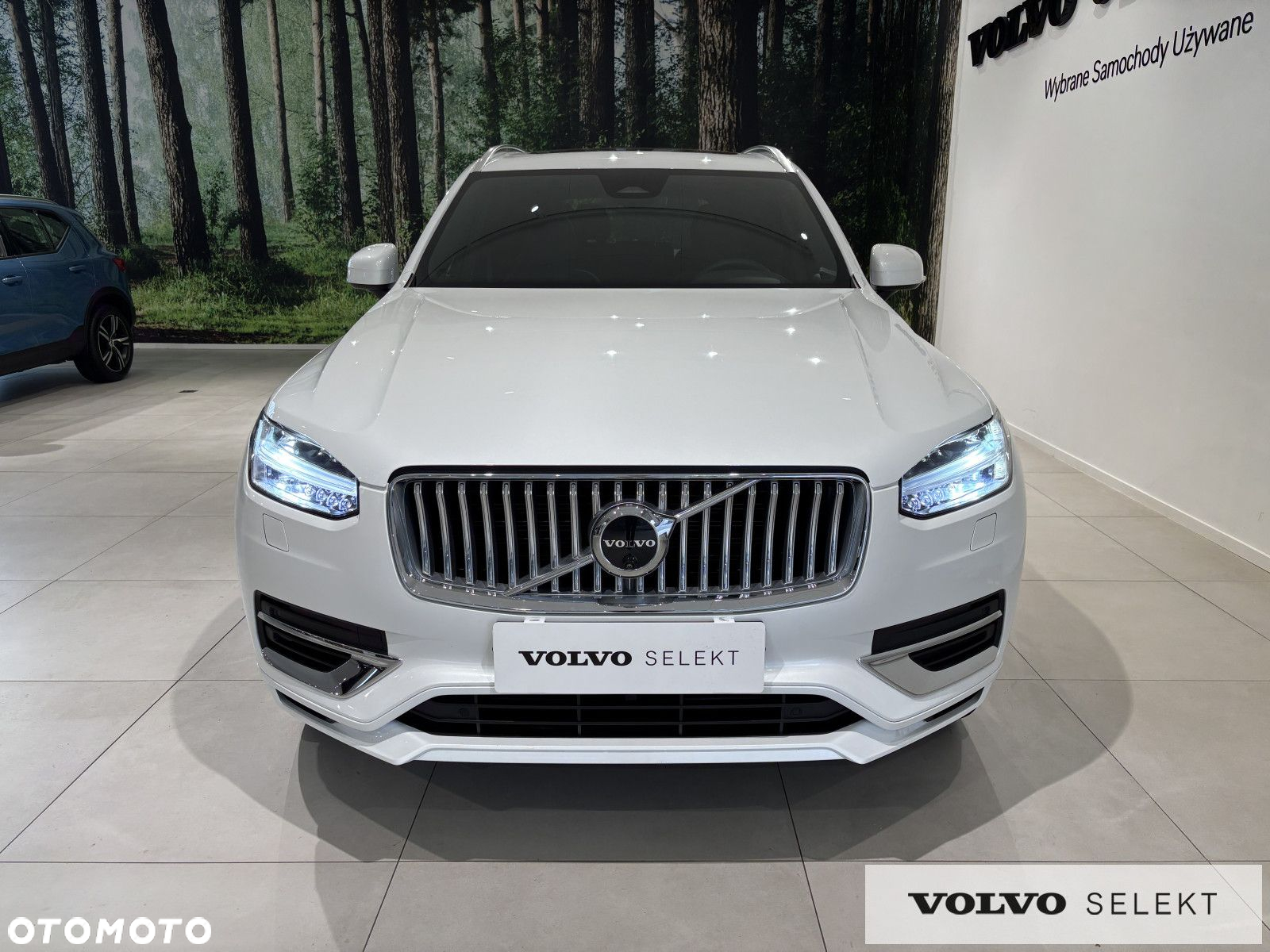 Volvo XC 90 - 10