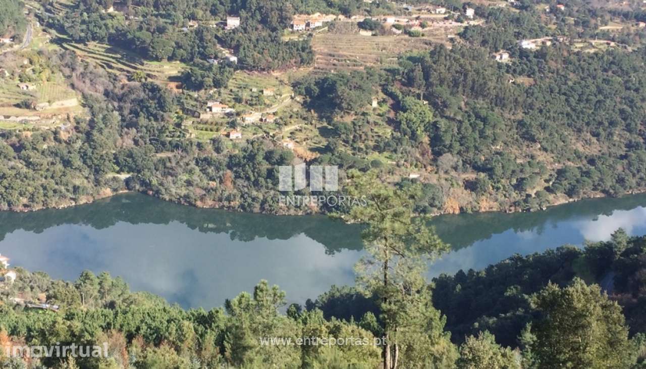 Venda Terreno, Oliveira do Douro, Cinfães - Grande imagem: 4/26