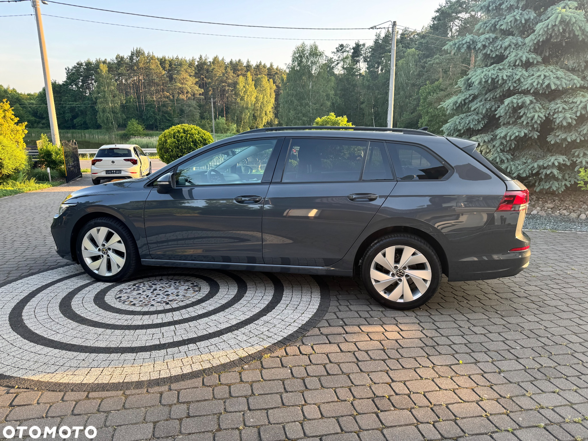 Volkswagen Golf - 8