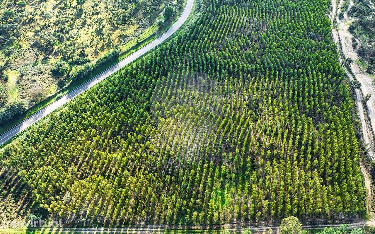 Terreno  para venda - Grande imagem: 5/22