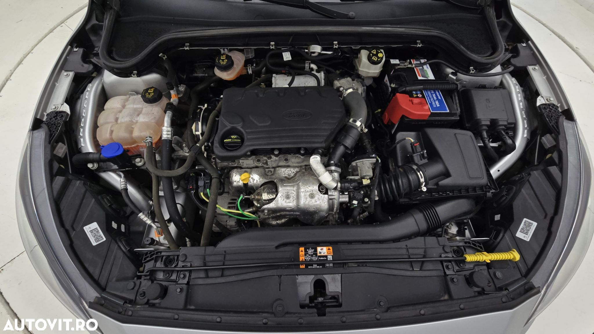 Ford Focus 1.5 EcoBlue Trend Edition - 24
