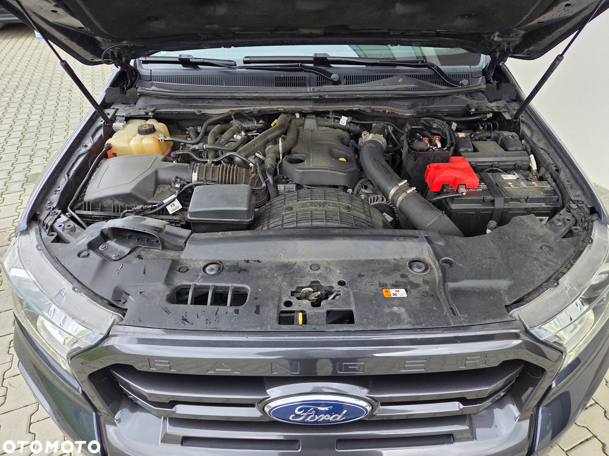 Ford Ranger - 19