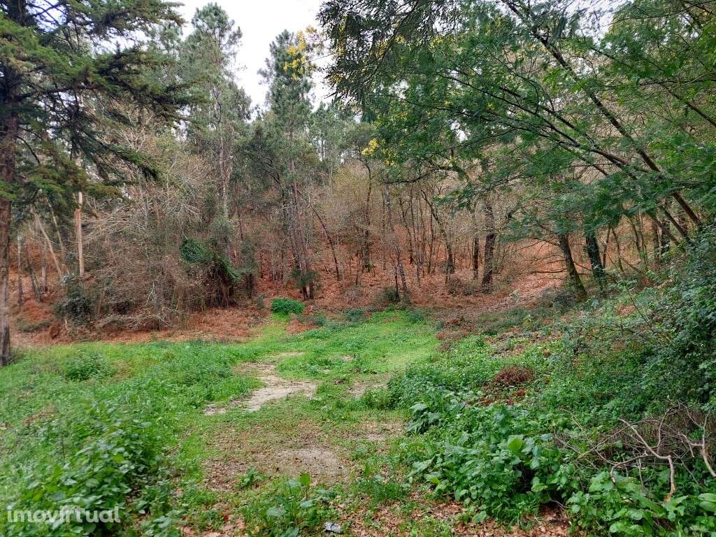 Terreno - Geraz do Minho - Grande imagem: 3/7