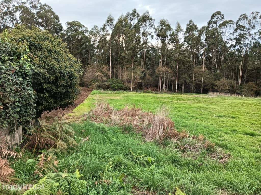 Terreno com 37m de frente - Estarreja - Grande imagem: 2/6