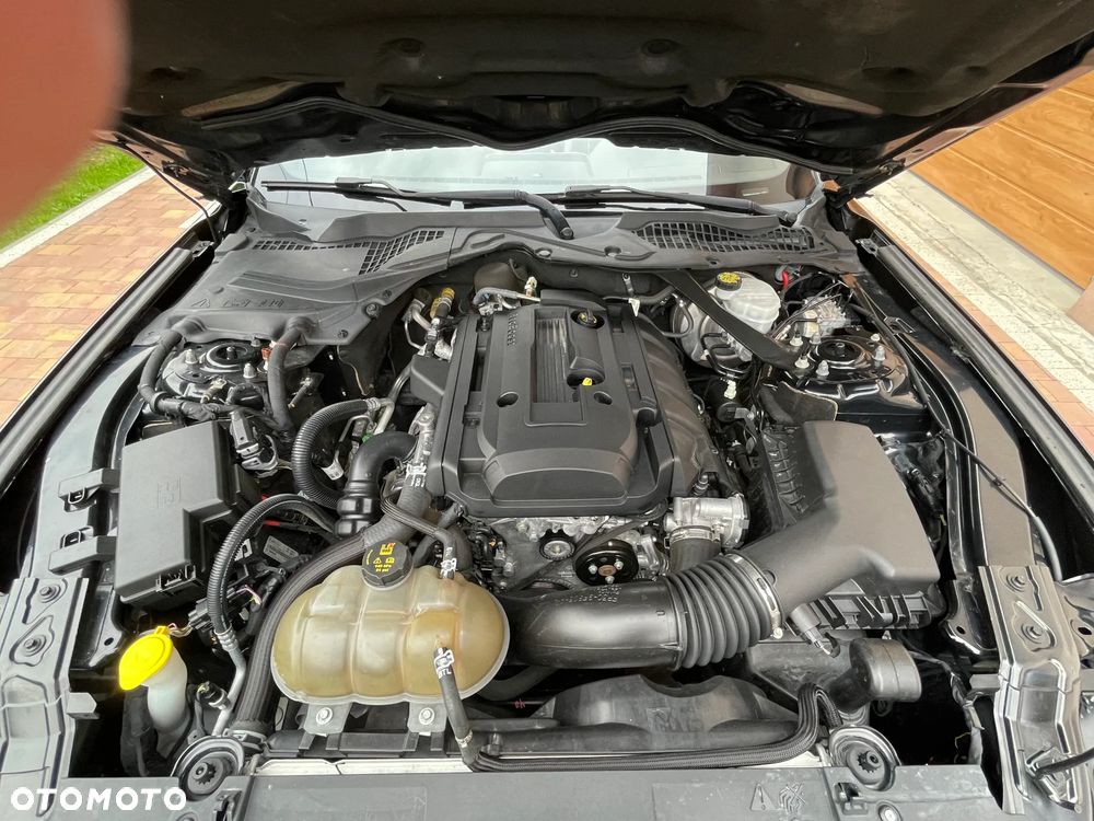Ford Mustang - 15