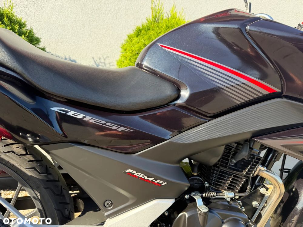 Honda CBF - 19