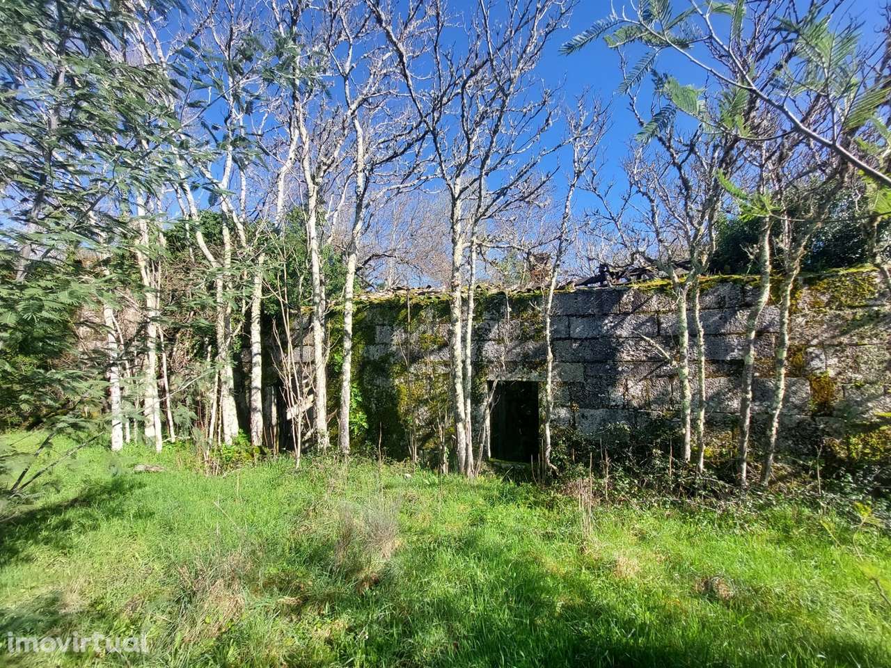 Quinta  Venda em Rio Torto e Lagarinhos,Gouveia - Grande imagem: 2/23