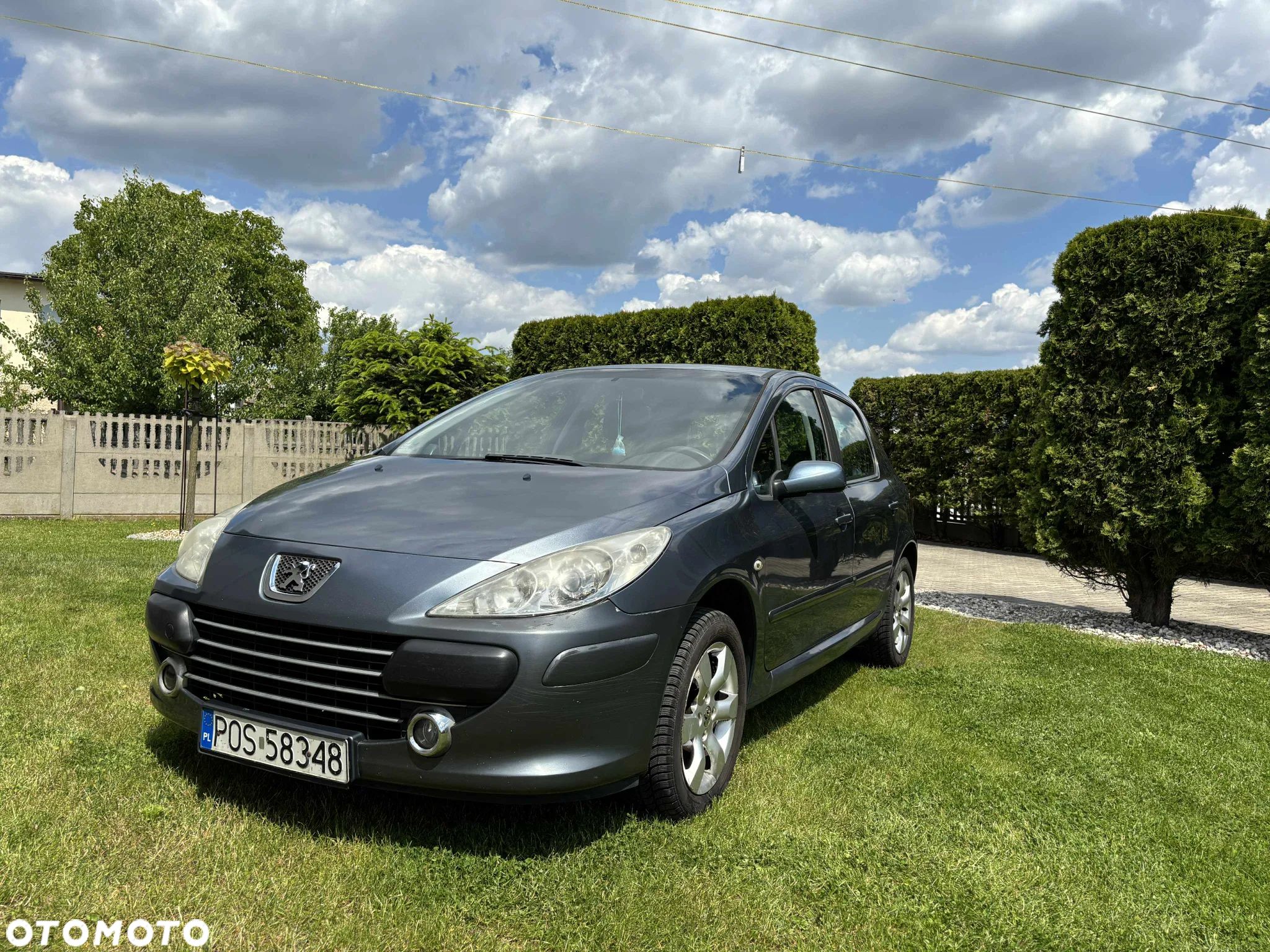 Peugeot 307 1.6 HDI Oxygo - 1