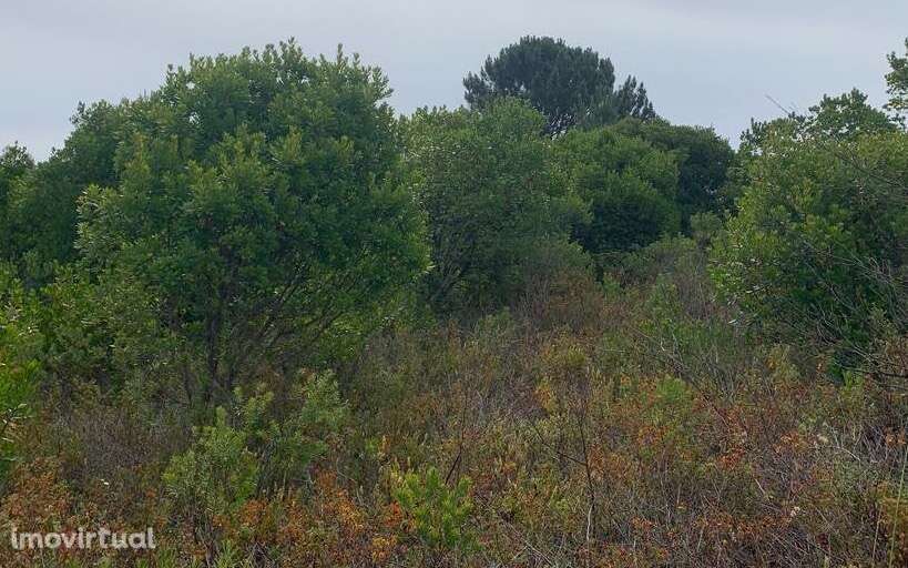 2 Terrenos Rústicos - Grande imagem: 4/5