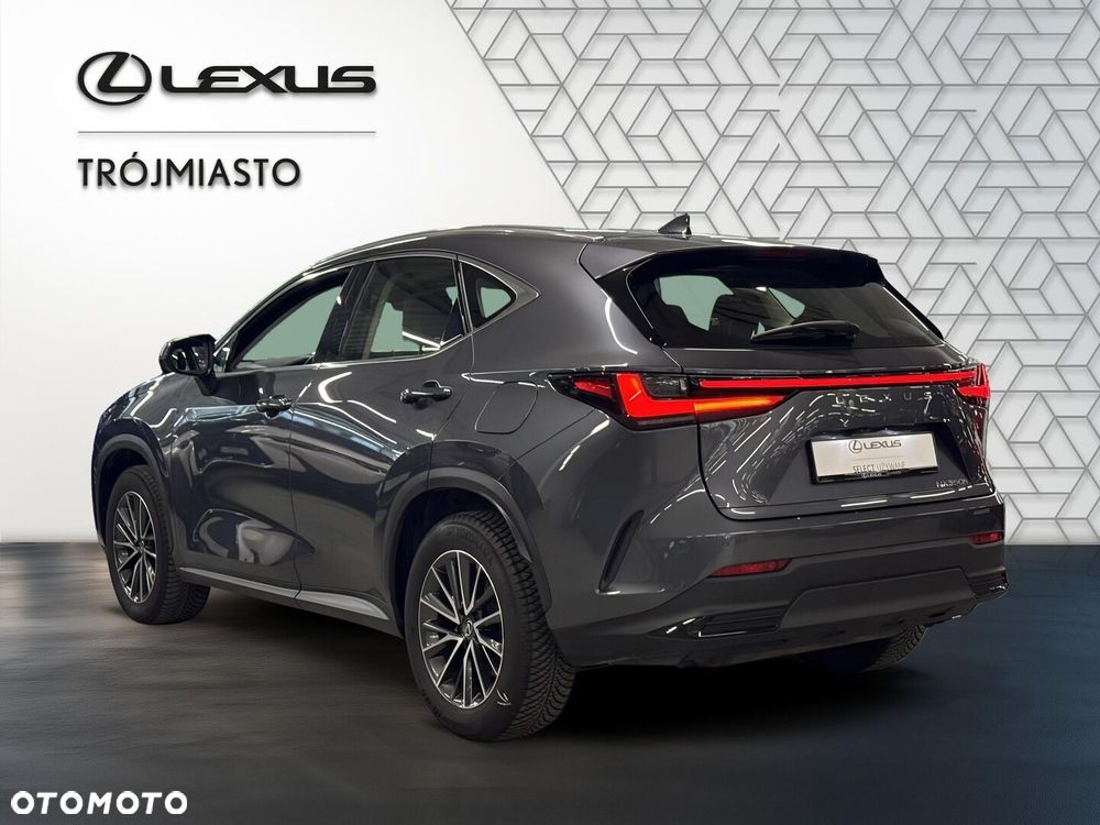 Lexus NX 350h Business AWD - 4