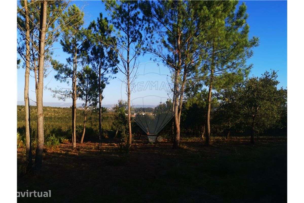 Terreno  para venda - Grande imagem: 3/3