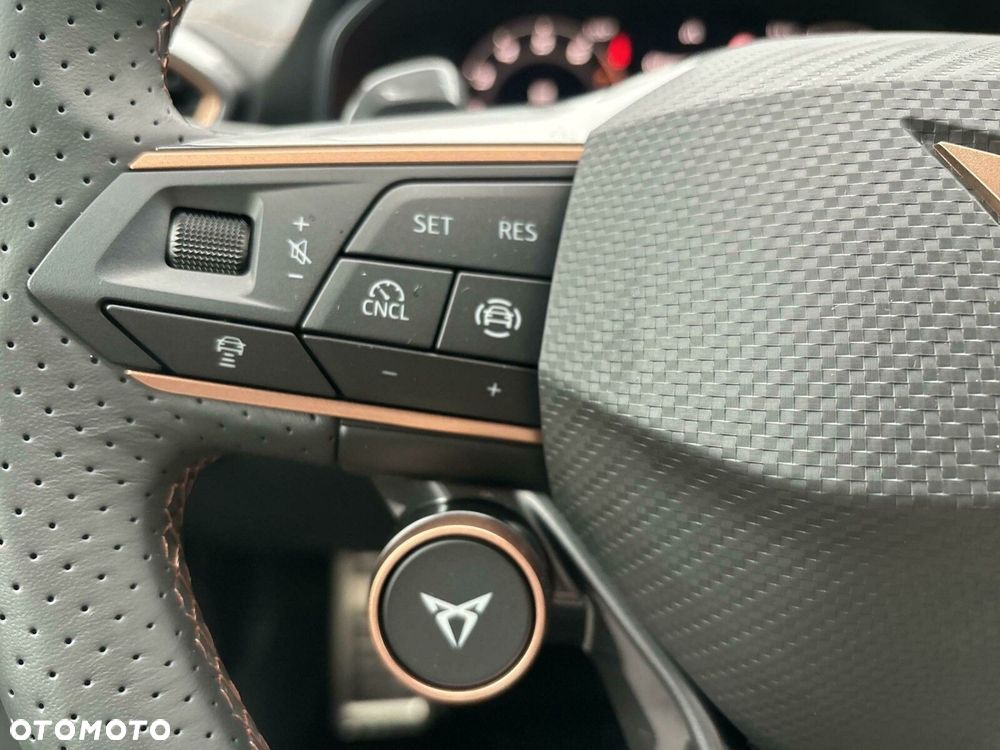 Cupra Formentor - 17