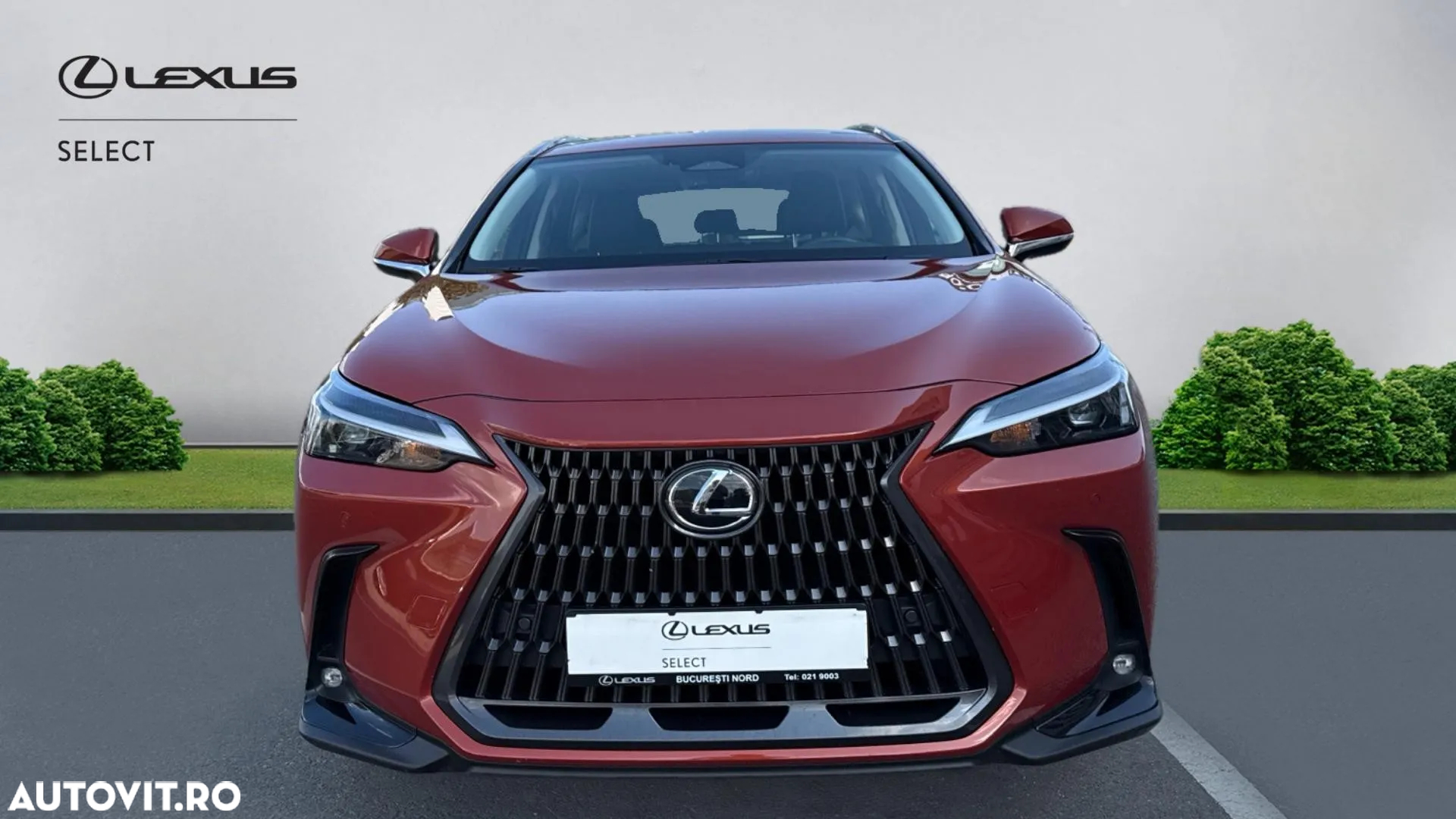 Lexus Seria NX 350h AWD CVT HEV Business - 3