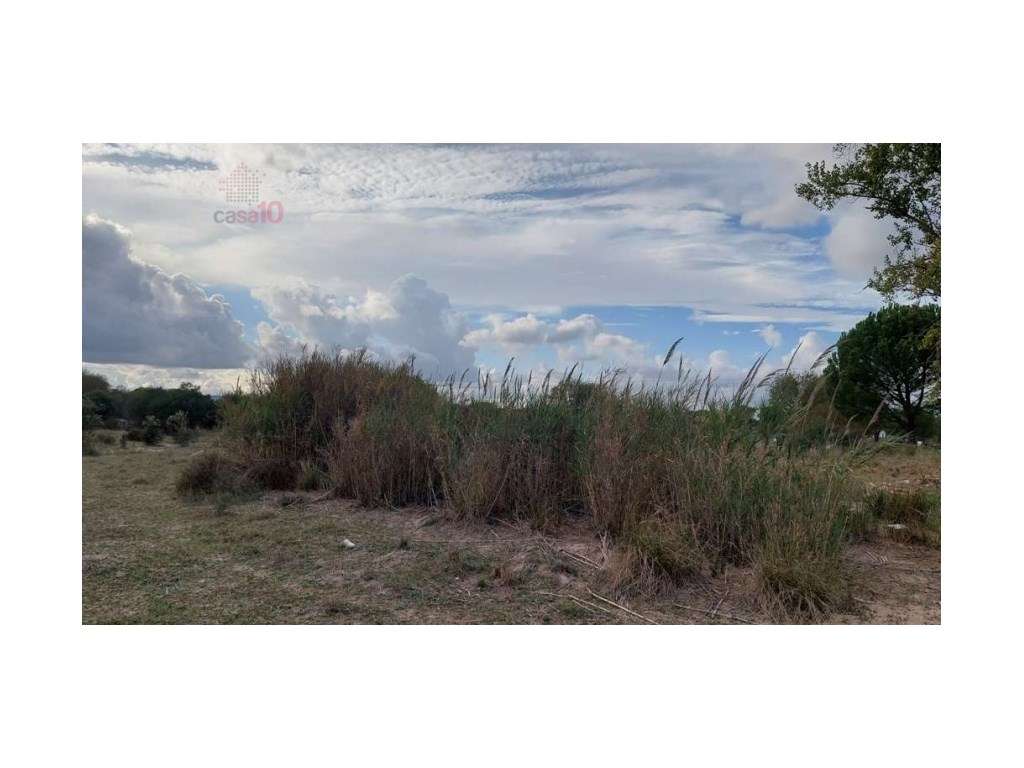 Vende-se Quintinha em Évora - Grande imagem: 3/6