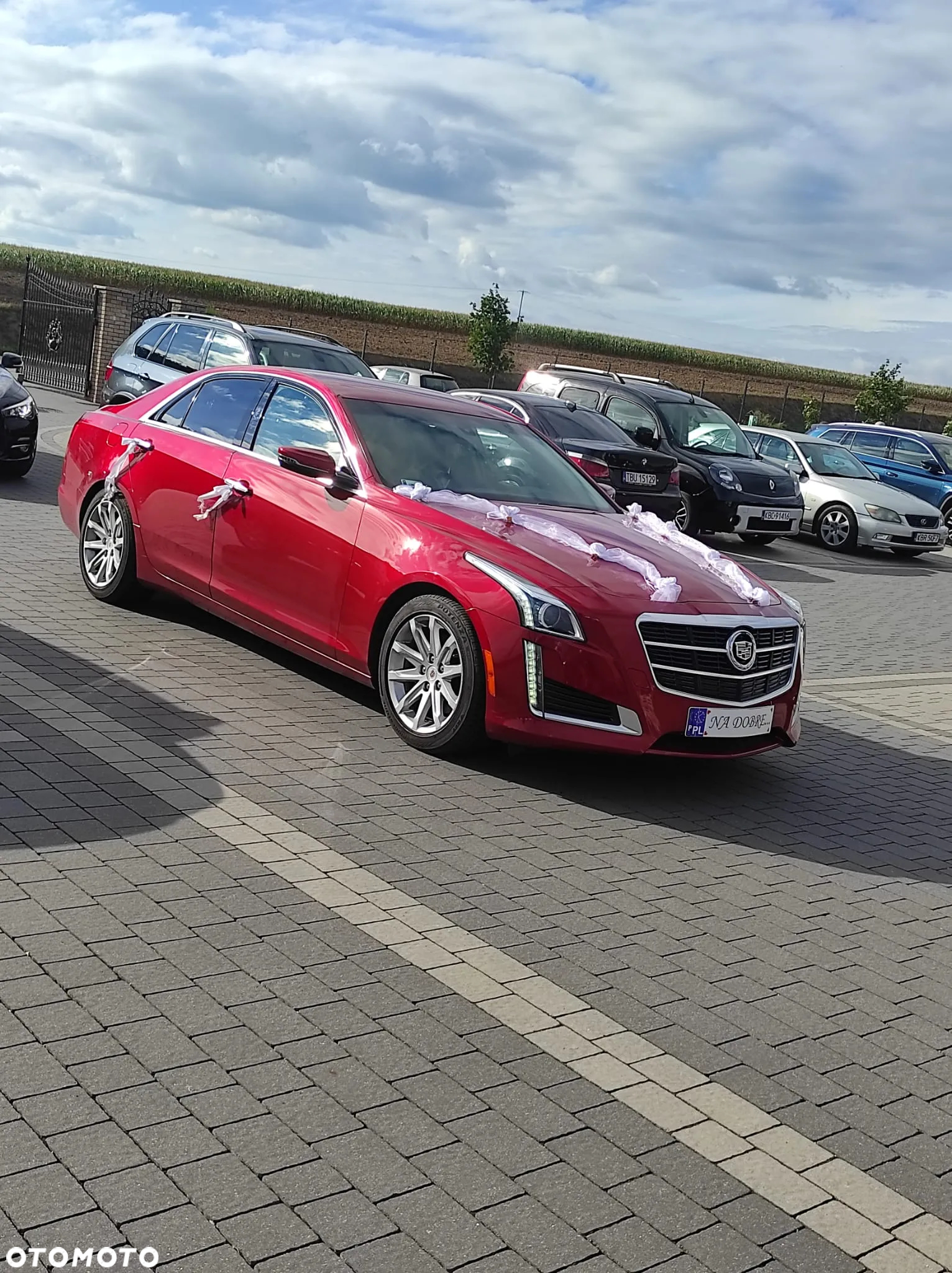 Cadillac CTS 2.0 Turbo AT AWD Elegance - 2