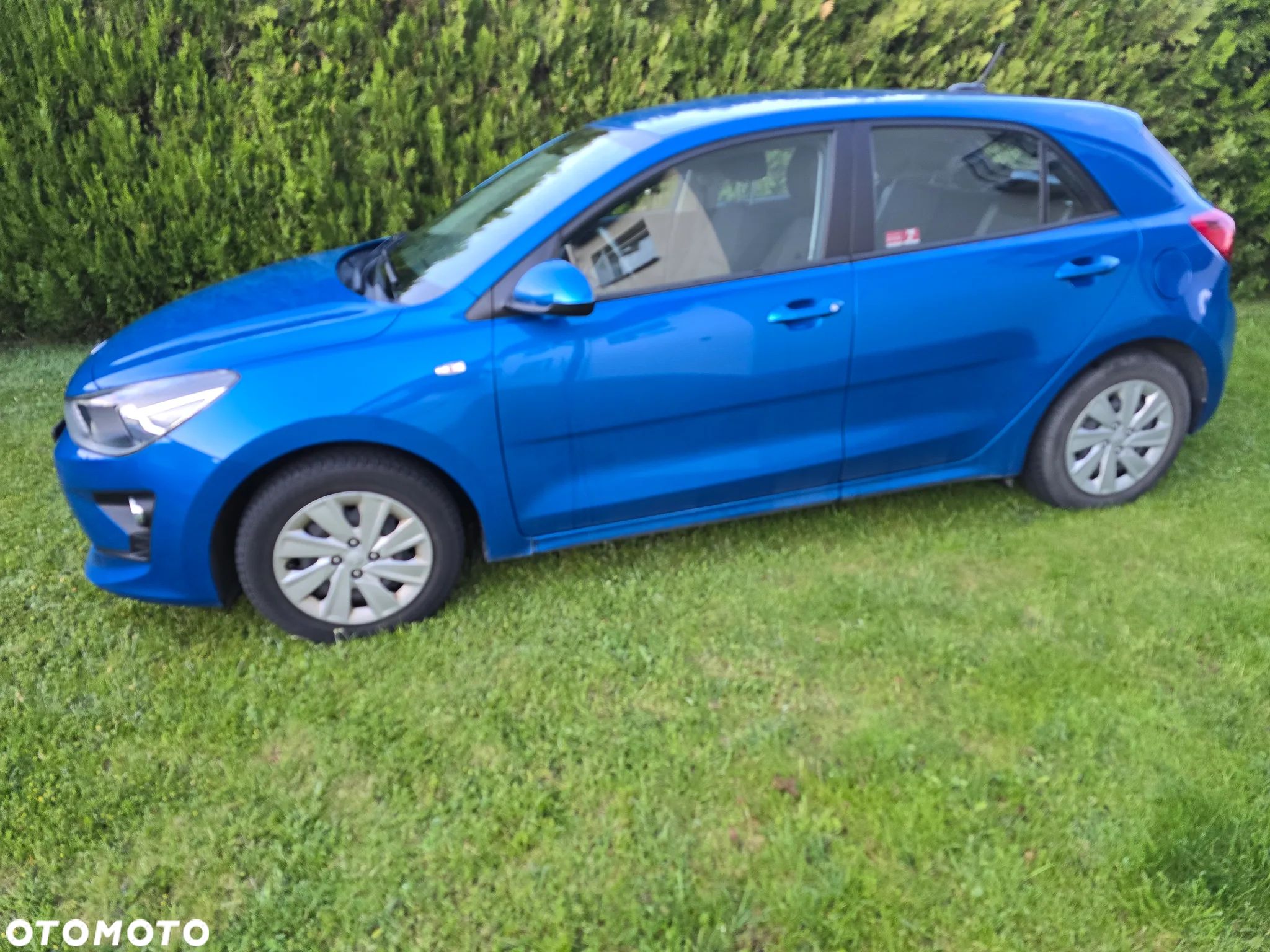 Kia Rio 1.2 M - 1