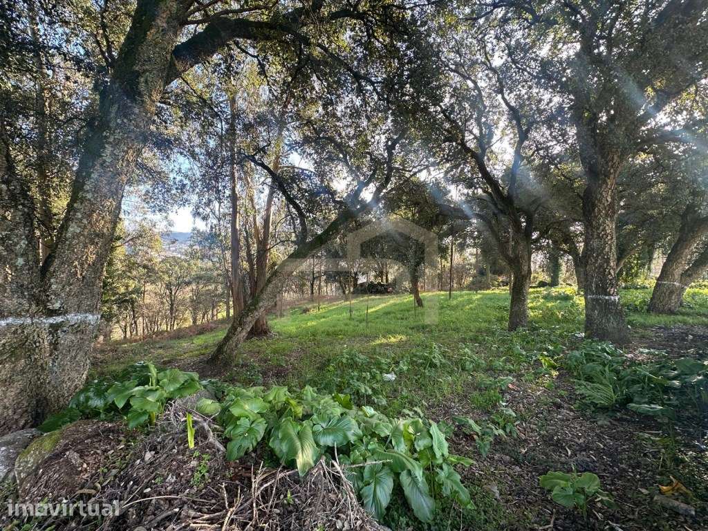 Vende-se terreno de construção com 1030 m2 em Areias. - Grande imagem: 2/13