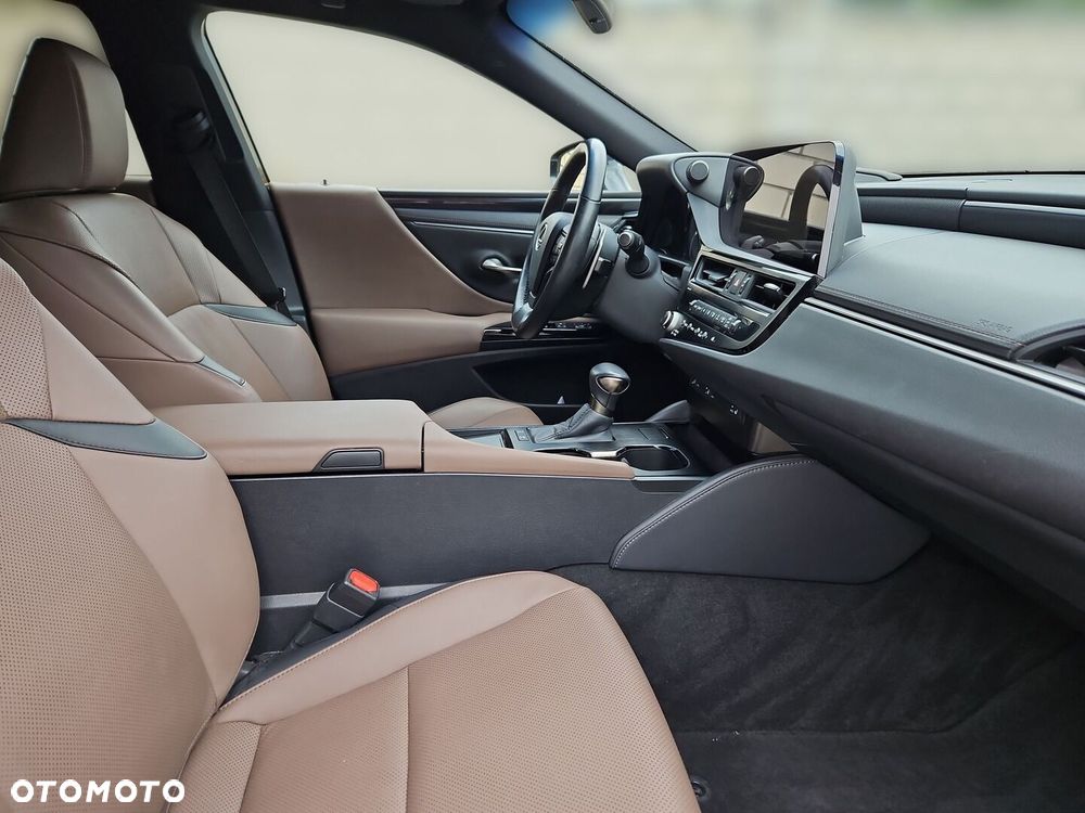 Lexus ES 300h F Sport Design - 19