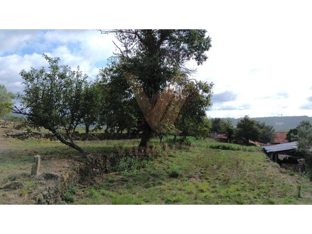 Terreno com 5.352 m² - Vitorino dos Piães, Ponte de Lima - Grande imagem: 4/8