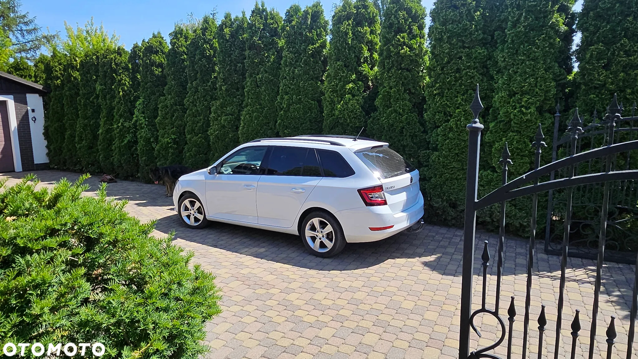 Skoda Fabia Combi 1.0 TSI DSG Soleil - 9