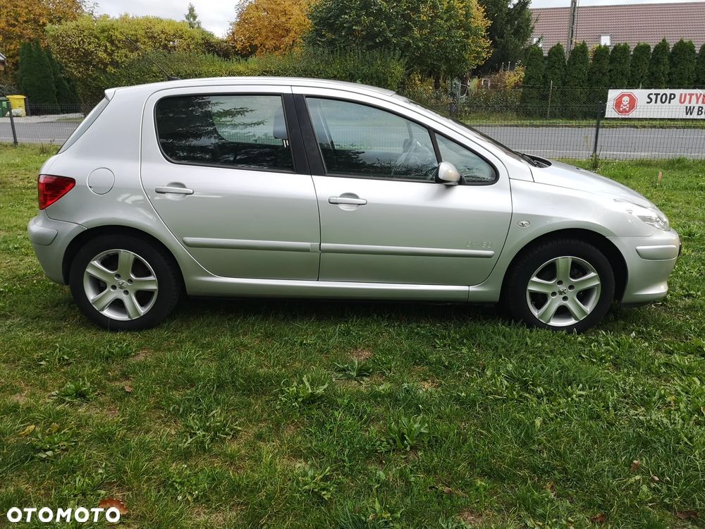 Peugeot 307 - 6