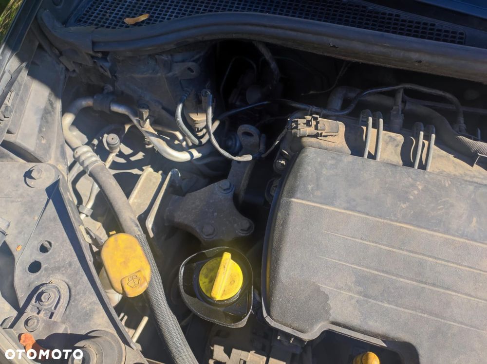 Renault Clio - 24